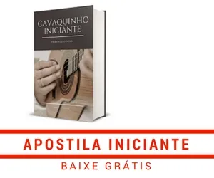 apostila iniciante
