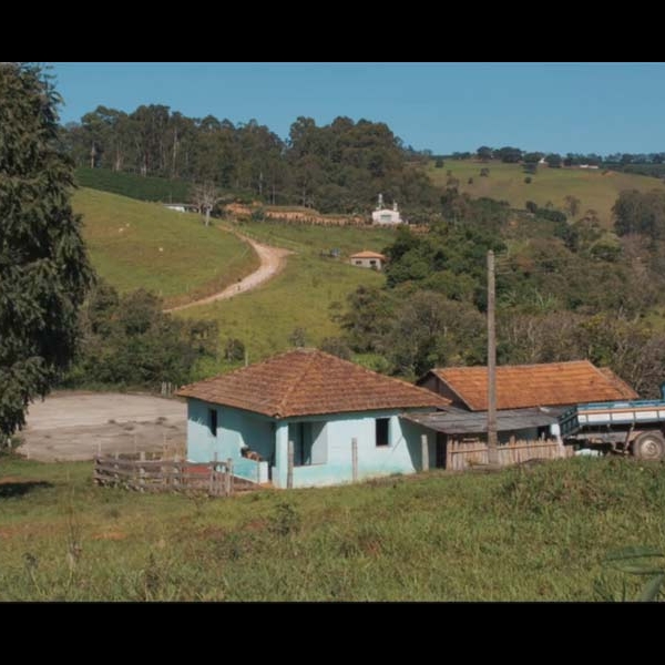 Trilha Institucional