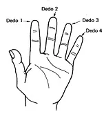 Aula Primeiros Acordes