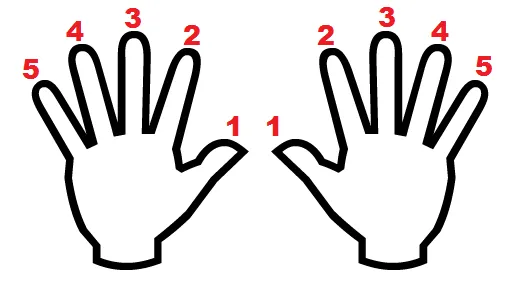 Aula Primeiros Acordes