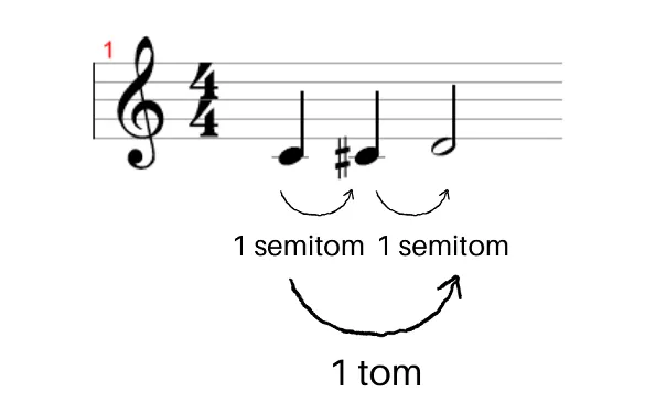 Aula Primeiros Acordes